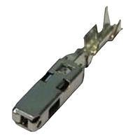 Aptiv 13553176 ຕົວເຊື່ອມຕໍ່ລົດ 1.5 ຜູ້ຍິງ BTS AU Cavity Lock Sealed Terminal Cross Sec (0.35 - 0.5 mm)