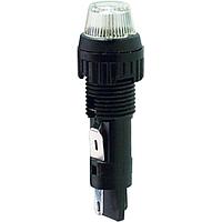 ໂຈມບອນແບບຕິດຕູ