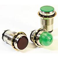 Dialight 556-3609-830 ຕົວບອກສະແດງພານເນວເດັດສີຂຽວ 1 ນິ້ວ ແບບດອມ