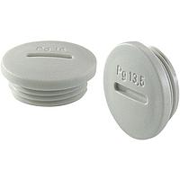 BOPLA 52010100 ປຸ່ມປິດຕາງ PLUG, BLIND, PG 9, IP 54, POLYAMIDE, ສີແດງແຈ້ງ, BL 9