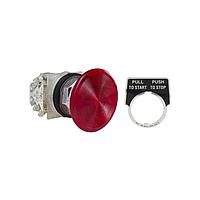 Square D 9001KR9R21H13 ປຸ່ມກົດສະຫນອງ PSH BTTN 600VAC 10A 30MM, ປະເພດ K