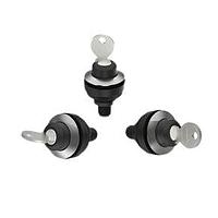 RAFI 1.11.051.033/2100 ສະຫນັບສະຫນູນ Keylock Switches RAMO 30 K M12 1x90 L rastend 2S potfrei