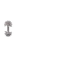 ເຄື່ອງວັດປລັກກະທູ້