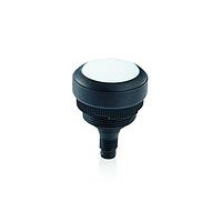 RAFI 1.10.011.201/0201 ສະຫຼຸບສະຫຼຸບ RAMO 22 T M12 1NO Wht FL