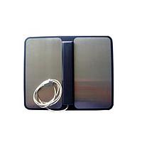 KLEINWACHTER WST 100 SE ເກີບ electrode (60V/1A)