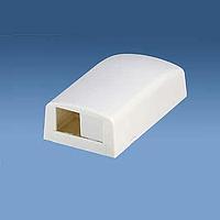 Panduit CBX2IG-AY ກະເປົາສາຍໄຟຟ້າ ແລະ ທາງຜ່ານສາຍ ກະຕ່າຕິດພາຍນອກ 2 ພອດ ສີເທົາສາກົນ