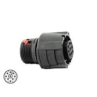 Eaton Souriau-Sunbank CL1F1203 ຕົວເຊື່ອມຕໍ່ 9P ປລັກຊໍເກດ IP67 ໃນແຖວ ຮູບແບບເຄື່ອງປະກອບ ຂະໜາດ 1