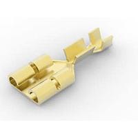 AMP Connectors - TE Connectivity 63623-1 Tab RCPT AMVAR 250 FAST LIF 016BR