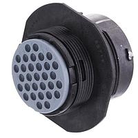 Aptiv 15486580-B ຕໍ່ຕັ້ງ CONN ASM H/D 1.6,31W ຜູ້ຊາຍ