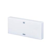 INSIZE 4106-B100 Ceramic Gage Block ສ່ວນບຸກຄົນ (Grade 1, 100mm)