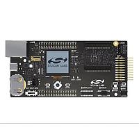 Silicon Labs SI-MB4002A ບອດປະເມີນ WSTK Wireless Pro Kit Mainboard EFR32 ແລະ ບອດລາຍໂດ SiWx91x