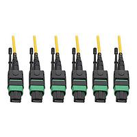 Tripp Lite N392-45M-3X8-AP ສາຍເຄື່ອງແບບ Fiber Optic Cable Assemblies Singlemode Slim Trunk Cable