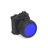 Alcoswitch - TE Connectivity 1-2492672-1 ປຸ່ມກົດ ILLUM. ປຸ່ມກົດ FLUSH ສີຟ້າ