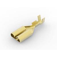 AMP Connectors - TE Connectivity 170303-1 ຮອບຮອງ 250 SERIES F-F REC