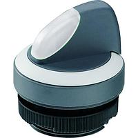 RAFI 1.30.272.101/2204 ສະວິດຊ໌ອັກຕູເວດເຣີຣ໌ RAFIX 22 FS Plus Selector Switch