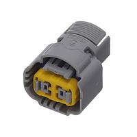 Aptiv F487000 ປຸ່ມໂປລະກອນໄຟຟ້າ FEM PG18.5 CODING1