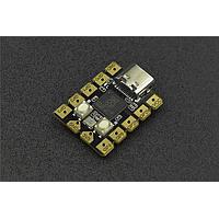 DFRobot DFR0959 ບອດພັດທະນາ & ຊຸດ - ARM Beetle RP2040 Mini Development Board