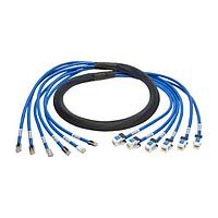 Tripp Lite N261-010-6MF-BL ສາຍສັນຍານ Cat 6 10FT CAT6 UTP TRUNK CABLE ASSE
