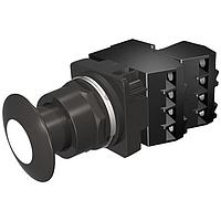 SIEMENS 52BP2DBGB Push-Pull PP2,NEMA4X,MTD,FV 24V LED,BLK-WHITE,2NC