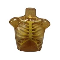 True Phantom Solutions TX-A01 ອະດຸດ ເທຣັກສ ສໍາລັບ X-Ray CT, US, MRI