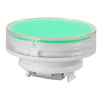 NKK Switches AT4055JF ຝາ, ເລນສ໌ກົງ CLR/ກຣີນ FLTR LB PNL SL INCNDSCNT LMP