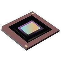 Texas Instruments DLP650NEFYE DMD 0.65-ອິນຊ 1080p 2xLV DS DLP® ດິຈິຕອນ