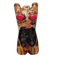 True Phantom Solutions US-A05 ຮ່າງກາຍຜູ້ຍິງຜູ້ໃຫຍ່ສໍາລັບ X-Ray CT, US