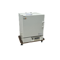 Yamato DNE600 ເຕົາອົບອຸນຫະພູມຄົງທີ່ບັງຄັບ