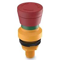 RAFI 1.10.031.011/0000 Push Turn RAMO 22 E M12 2NC ບໍ່ມີແສງ. 5-ຂາ