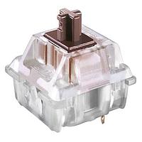 ສະຫຼອງສັກສິນສະພາບ