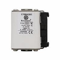 Eaton Bussmann 170M4391 ຟິວໄຟຟ້າຄວາມໄວສູງ 315A 1250V 1BKN/75 AR CU