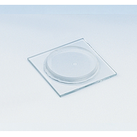 PHYWE 08551-00 ແຜ່ນ ແລະ ເລນ f. ແຫວນນິວຕັນ