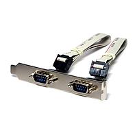 Advantech 1701092300 ເສັ້ນສາຍພະລັງງານ ATX F Cable 2*5P-2.54/D-SUB 9P(M)*2 W/BkT