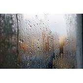 Cách giảm độ ẩm trong phòng đơn giản không cần đến máy hút ẩm