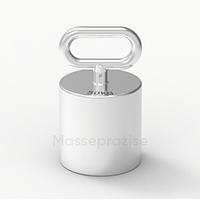 Masseprazise MPT-F2-100kg ນ້ຳໜັກບຸກຄົນ (100kg)