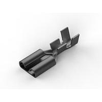 AMP Connectors - TE Connectivity 170213-2 ຮັບກະປຸກ 250 SER FASTON REC