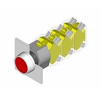 EAO EUS-704.009.0/1451 ສະຫນັບສະຫນູນສະຫນັບ (EUS-704.009.0/1451) ປຸ່ມກົດ/ ປຸ່ມກົດຊົ່ວຄາວ/ ເລນສດຳ W ແລະ ຕົວແຈ້ງແຈ້ງ/ 1N.O-1N.C ຕິດຕໍ່