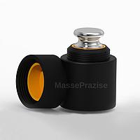 Masseprazise MPT-E2-1kg ນ້ຳໜັກບຸກຄົນ (1kg)