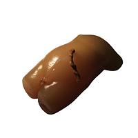 True Phantom Solutions US-S02 ຕົວຢ່າງລູກເດັກໃໝ່ສໍາລັບ X-Ray CT, US