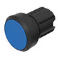 EAO 45-2134.1160.000 ສະວິດອັກຕູເວີພລາສຕິກ 2Pos BLU Maint