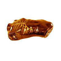 True Phantom Solutions US-A04 ຮ່າງກາຍຜູ້ໃຫຍ່ສໍາລັບການຝຶກອົບຮົມ FAST