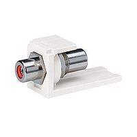 Panduit CMRPRIG ຕູ່ມອດຜ່ານການຕໍ່ຕໍ່ Mod RCA Pass-Through ສີແດງ In