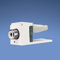 Panduit CJRWEI ຕໍ່ຕົວ RCA Phono Mini-Com RCA Punchdn Module Electric