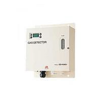 RKI Fixed Gas Detection Inspection Service