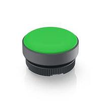 RAFI 1.74508.0012500 ອິນດິເຄເຕີ ອັກຊວເຕີ