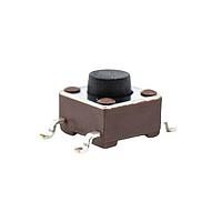 E-Switch TL3304AF160QG ສະຫນັບສະຫນູນສະຫນັບສະຫນູນ SPST 6.2mmSQ