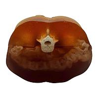 True Phantom Solutions US-A03 ພາກທ່ອງທ້ອງຜູ້ໃຫຍ່ (ເຄື່ອງຈຳລອງ FAST ພິມພິມ) ສໍາລັບ X-Ray CT, US