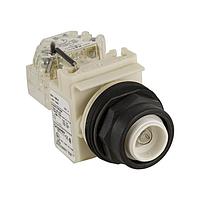 Square D 9001SKT38 ສະຫນີຕ່າງຮາດແວຣ PILOTLIGHT 120V 30MM SK