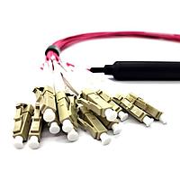 Techway BREAKOUT MTP12-M TO 12XLC ການປະກອບສາຍເສັ້ນແສງ Fiber Optic Cable Assemblies Breakout optical cable MTP12-M ເປັນ 12xLC simplex, ຄວາມຍາວ 1m