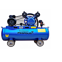 PEGASUS TM-V-0.17/8-180L Belt Driven Air Compressor (220V, 8 Kg/cm, 180L)